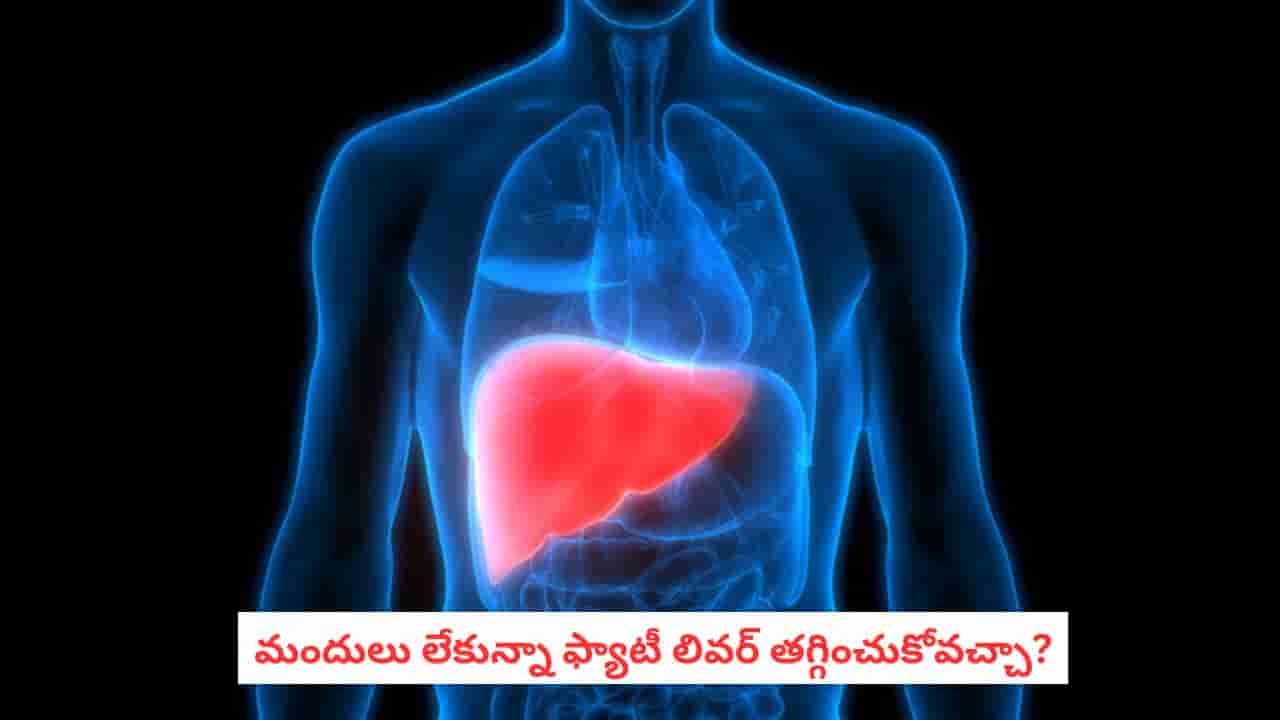 Fatty Liver: ఫ్యాటీ లివర్ ఉందా? మందులు లేకుండానే తగ్గించుకోవచ్చా? అసలు నిజం ఇదే!
