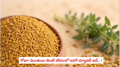 రోజూ మెంతులు తింటే శరీరంలో జరిగే మ్యాజిక్ ఇదే.. !