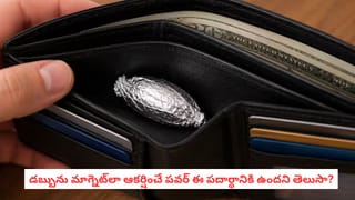 Feng Shui Tips: ఈ పదార్థానికి డబ్బును ఆకర్షించే శక్తి ఉంది.. వెంటనే మీ పర్సులో ఉంచుకోండి..