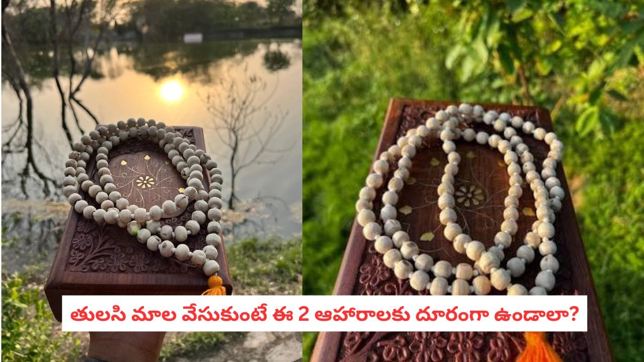 Tulsi Mala Rules: మెడలో తులసి మాల ఉందా? ఈ 2 ఆహారాలకు దూరంగా ఉండాలని ఎందుకు చెబుతారో తెలుసా?