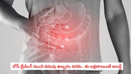 నోస్ బ్లీడింగ్ నుంచి కడుపు ఉబ్బరం వరకు.. ఈ లక్షణాలుంటే అలర్ట్