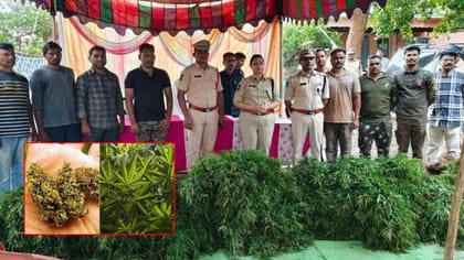 11గ్రా గంజాయి విక్రయించబోయి.. రూ.1.50కోట్ల గంజాయి వనం గుట్టురట్టు