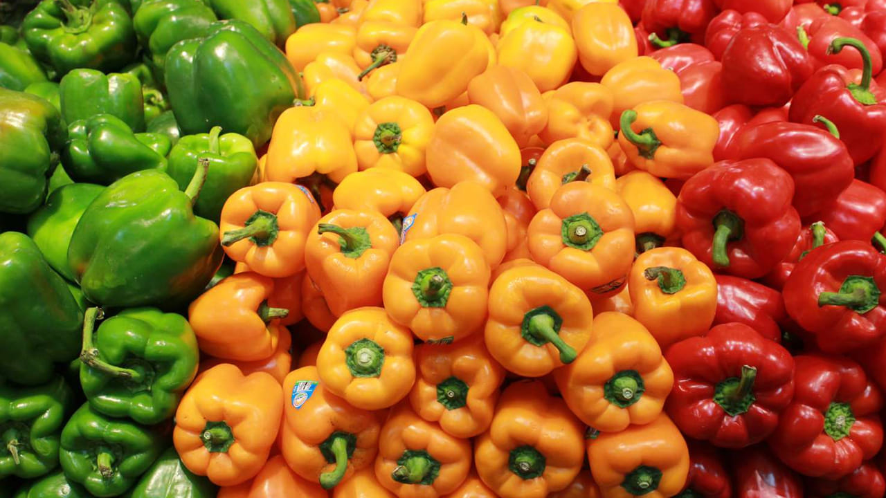 Capsicum