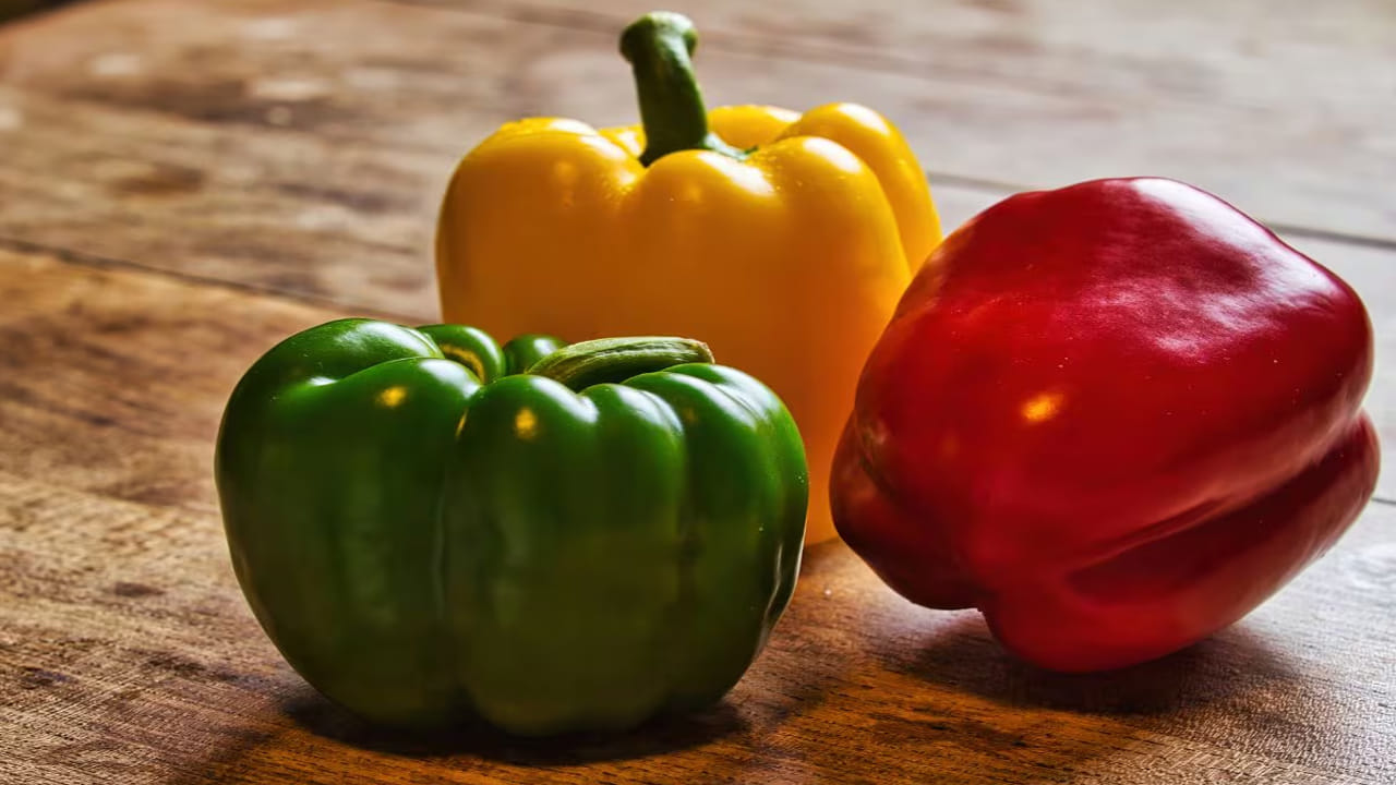 Capsicum