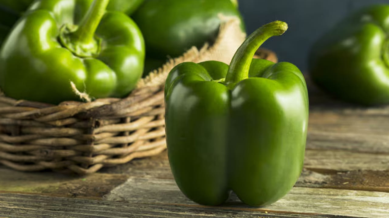 Capsicum