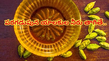 ఉదయాన్నే ఖాళీ కడుపుతో యాలకుల నీరు తాగుతున్నారా?ఈ విషయాలు తెలిస్తే