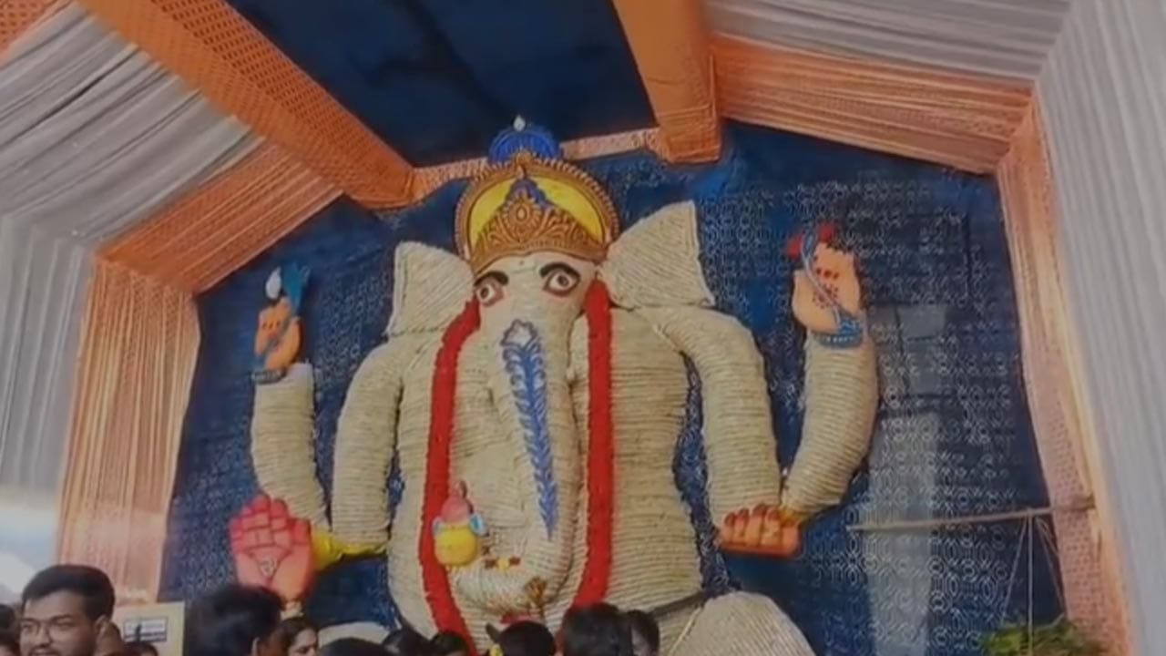 200 కేజీల కివీ పండ్లతో ప్రసాద వినాయకుడు: కాకినాడలోని పెద్ద మార్కెట్ సాయి బాబా గుడి ఎదురుగా ఉన్న ఉల్లింకల వారి వీధిలో భక్తులు ఈ సృజనాత్మక వినాయకుడిని ప్రతిష్టించారు. సుమారు 200 కిలోల డ్రై కివీ పండ్లను ఉపయోగించి అత్యంత నైపుణ్యంతో ఈ విగ్రహాన్ని తీర్చిదిద్దారు. ప్లాస్టర్ ఆఫ్ పారిస్ వల్ల జరిగే పర్యావరణ కాలుష్యాన్ని నివారించడంతో పాటు, భక్తికి ఆత్మీయతను జోడించి ఈ విగ్రహాన్ని తయారుచేశారు. 