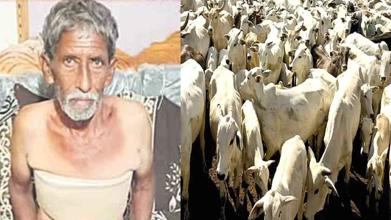 Andhra Pradesh: ఈ మూగజీవాల ప్రేమకు సలాం కొట్టాల్సిందే.. ఏనుగునే ఎదురించి యజమానిని ఎలా కాపాడాయంటే..?