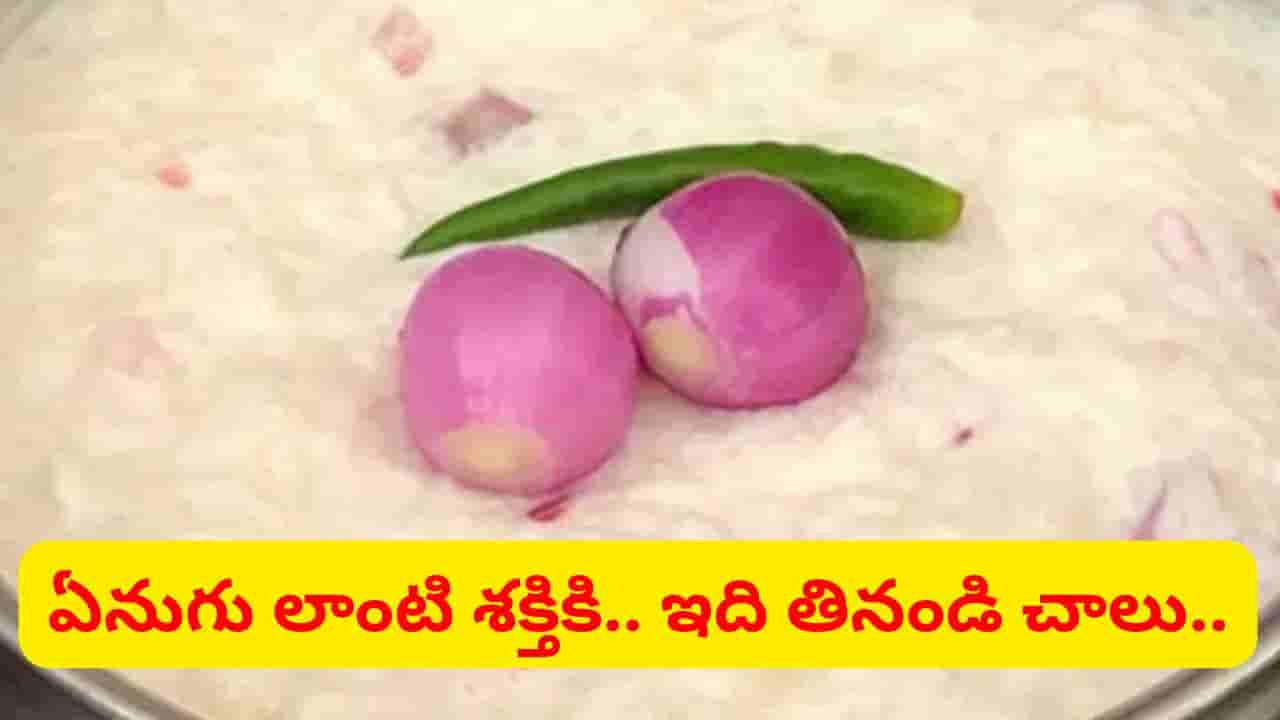 విటమిన్లు.. మినరల్స్కు పవర్హౌస్.. ఉదయాన్నే ఇది గిన్నెడు తింటే ఏనుగు లాంటి బలం..