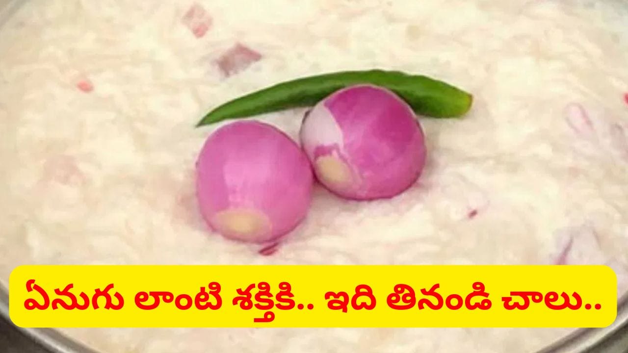 విటమిన్లు.. మినరల్స్కు పవర్హౌస్.. ఉదయాన్నే ఇది గిన్నెడు తింటే ఏనుగు లాంటి బలం..
