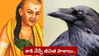 Chanakya Niti: జీవితంలో విజయం సాధించాలంటే కాకి నుంచి ఈ 5 విషయాలు నేర్చుకోవాల్సిందే!