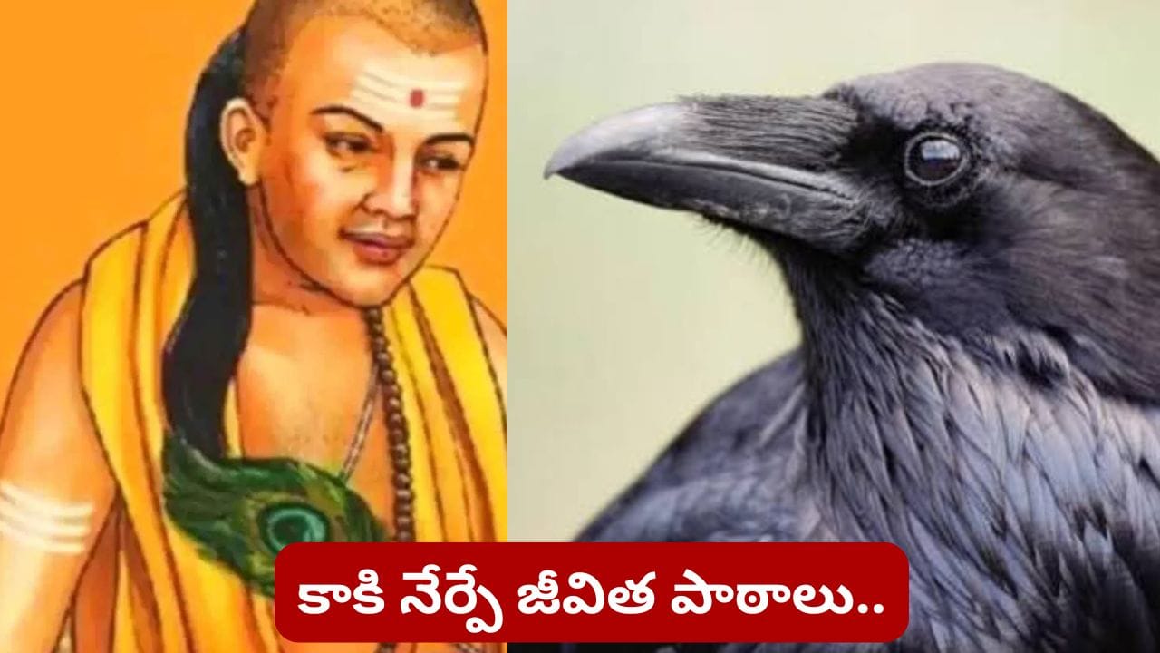 Chanakya Niti: జీవితంలో విజయం సాధించాలంటే కాకి నుంచి ఈ 5 విషయాలు నేర్చుకోవాల్సిందే!