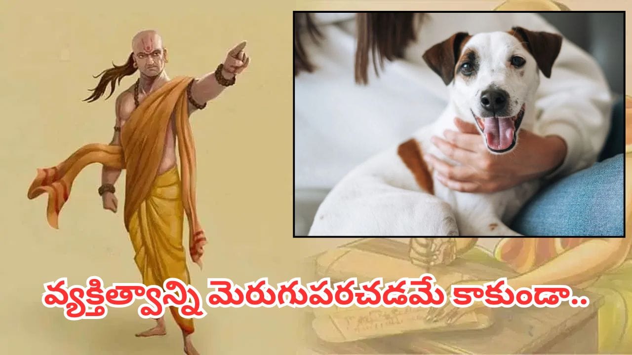 Chanakya Niti: కుక్కల నుంచి మనుషులు నేర్చుకోవాల్సిన 4 పాఠాలు.. ఇవి జీవితాన్ని మార్చేస్తాయట!