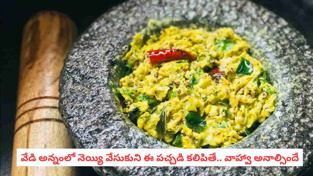Chintakaya Roti Pachadi: పండగ స్పెషల్.. చింతకాయ రోటి పచ్చడి.. తింటే అద్భుతః అనాల్సిందే..
