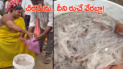 యానాం మార్కెట్‌లో అరుదైన చీరమేను సందడి!