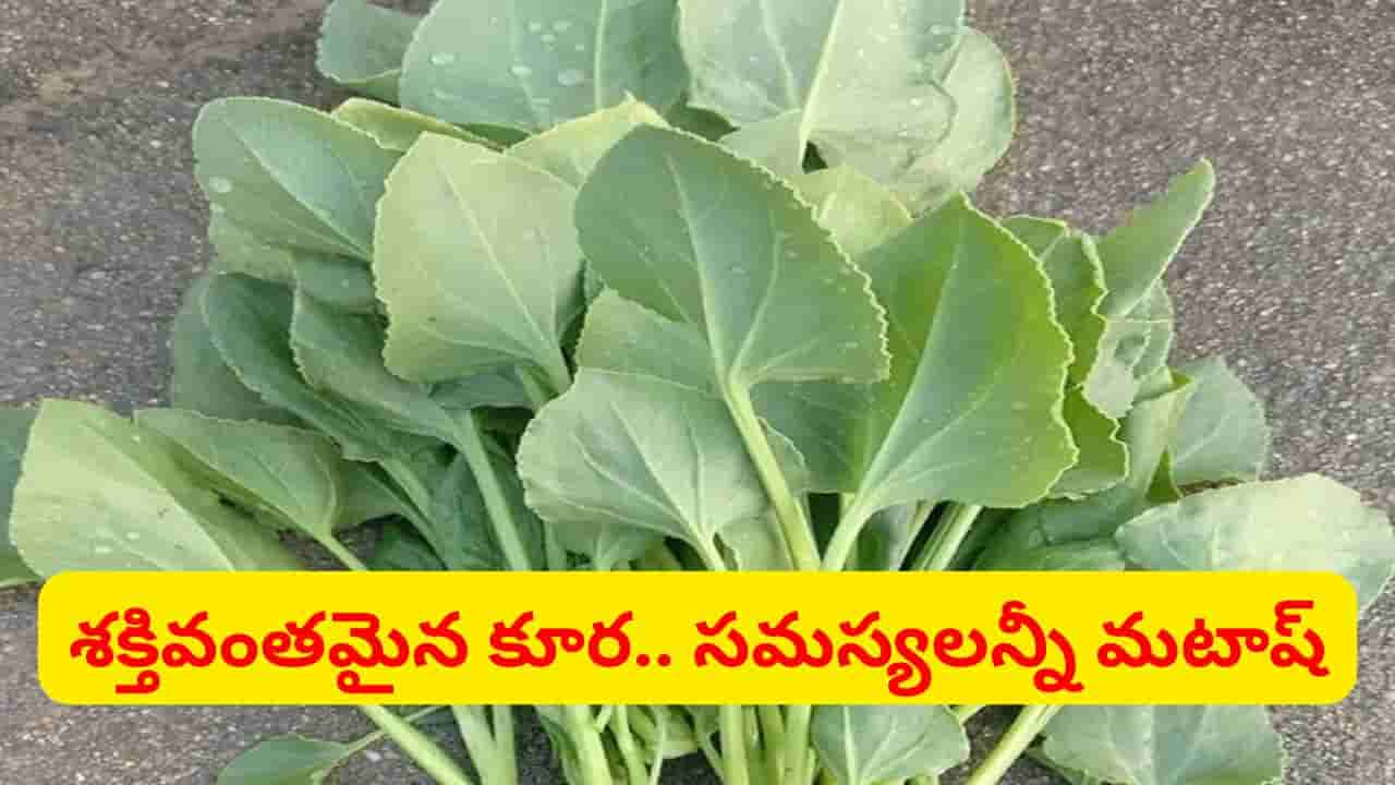 కంటిచూపును పెంచే సూపర్ యాంటీఆక్సిడెంట్ కూర.. ముఖంపై ముడతలు కూడా తగ్గుతాయ్..