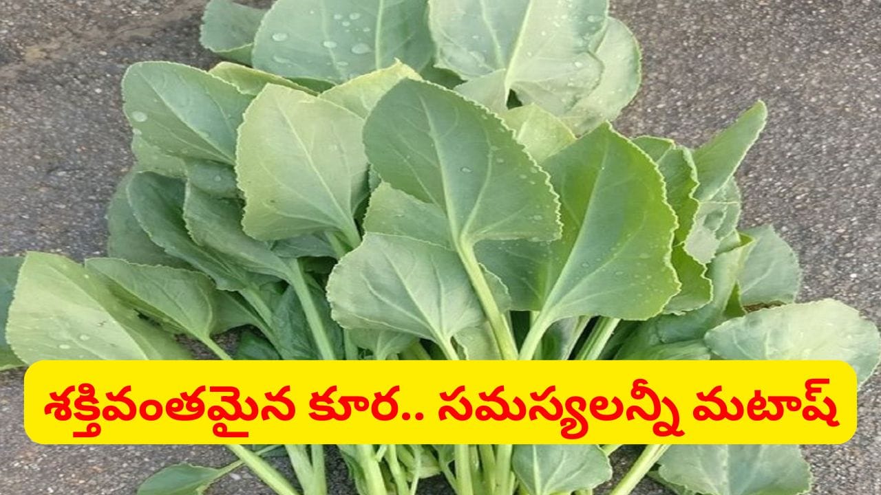 కంటిచూపును పెంచే సూపర్ యాంటీఆక్సిడెంట్ కూర.. ముఖంపై ముడతలు కూడా తగ్గుతాయ్..