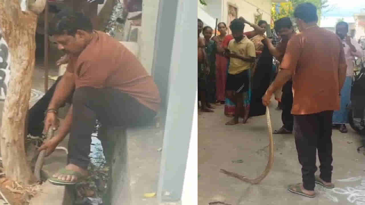 Andhra Pradesh: ఎరక్కపోయి ఇరుక్కుని ఆగమాగం చేసిన నాగరాజు.. చివరకు ఏం జరిగిందో వీడియోలో చూడండి..