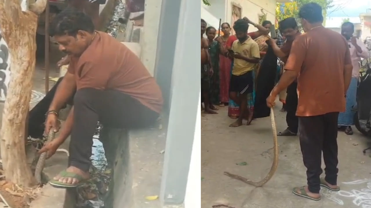 Andhra Pradesh: ఎరక్కపోయి ఇరుక్కుని ఆగమాగం చేసిన నాగరాజు.. చివరకు ఏం జరిగిందో వీడియోలో చూడండి..