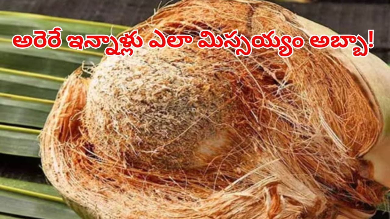 Coconut Coir: అరెరే కొబ్బరి పీచుతో ఇన్ని బెనిఫిట్స్ ఉన్నాయా?.. ఇన్నాళ్లు తెలికా వేస్ట్‌గా పడేశామే!