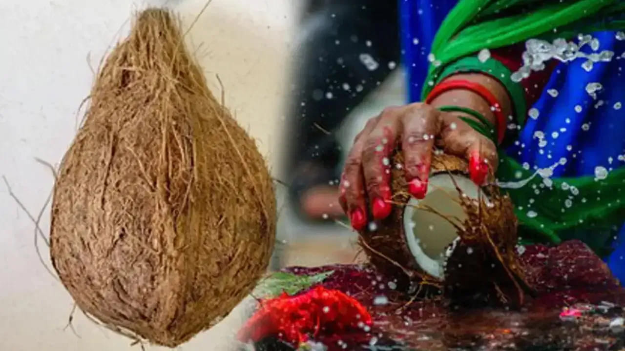 ప్రకృతి ఎండవానలను తట్టుకొని ఫలాలను అందిస్తుంది. కానీ ఆ ఫలాలను తనకోసం దాచుకోదు. దాన్ని లోకానికి అందిస్తుంది. అదేవిధంగా, మనం దేవుడి ముందు పండును ఉంచినప్పుడు, ఇది నా కష్టార్జితం అనే అహంకారం మనలో నశించాలి. స్వామీ, నాకు లభించిందంతా నీ దయ వల్లే అని అంగీకరించడమే నిజమైన కృతజ్ఞతకు నిదర్శనం.