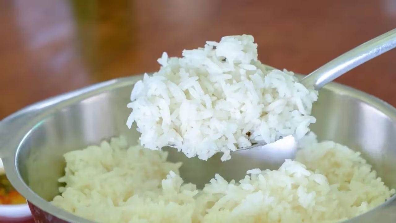 Cold Rice Vs Hot Rice (1)