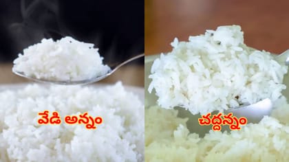 వేడి అన్నం Vs చద్దన్నం.. బరువు తగ్గాలనుకునే వారికి ఏది బెస్ట్..