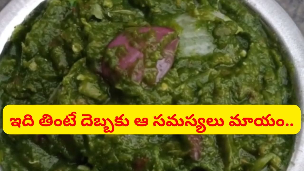 చుక్క నూనె లేకుండా పాతకాలం నాటి పచ్చడి.. దెబ్బకు కిడ్నీలు క్లీన్ అవుతాయ్..
