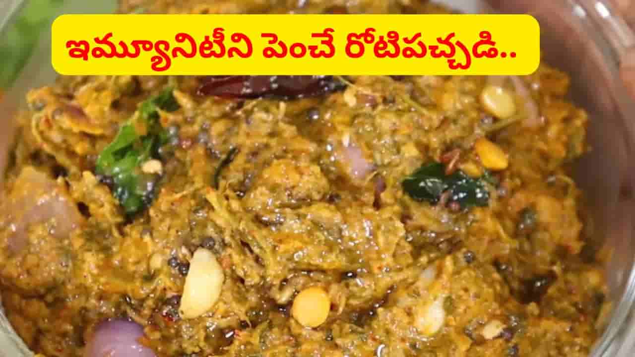అబ్బబ్బ.. దీని రుచికి ఇంకేదీ సాటిరాదు.. నిమిషాల్లోనే ఇమ్యూనిటీని పెంచే పోషకాల రోటి పచ్చడి..