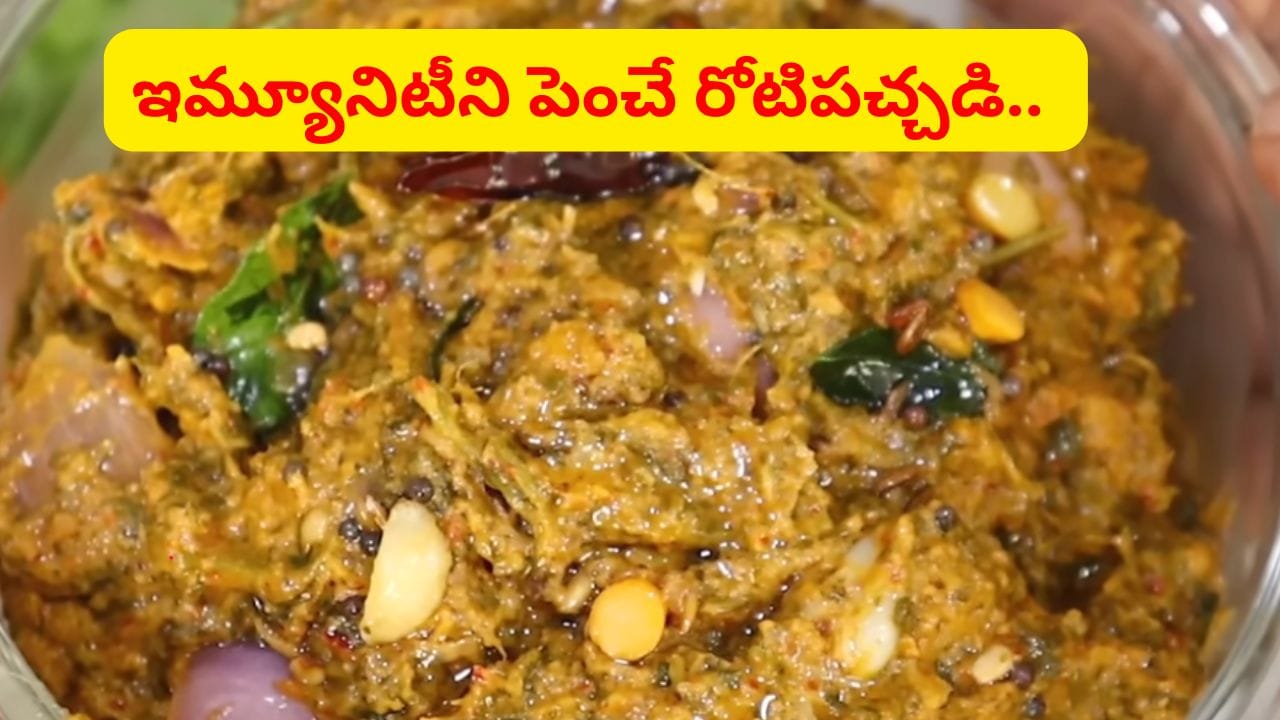 అబ్బబ్బ.. దీని రుచికి ఇంకేదీ సాటిరాదు.. నిమిషాల్లోనే ఇమ్యూనిటీని పెంచే పోషకాల రోటి పచ్చడి..