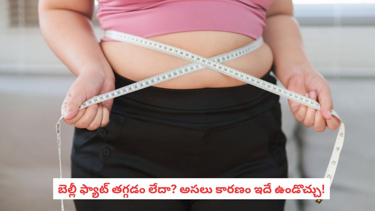 Cortisol Belly: డైట్, ఎక్సర్‌సైజ్ చేస్తున్నా పొట్ట తగ్గడం లేదా? ఈ ‘హార్మోన్’పై ఓ కన్నేయండి!
