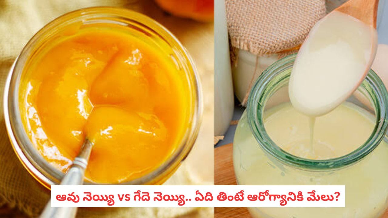 Cow Ghee vs Buffalo Ghee: ఆవు నెయ్యి మంచిదా? గేదె నెయ్యి మంచిదా? కొలెస్ట్రాల్ ఉన్నవారికి ఏది బెస్ట్?