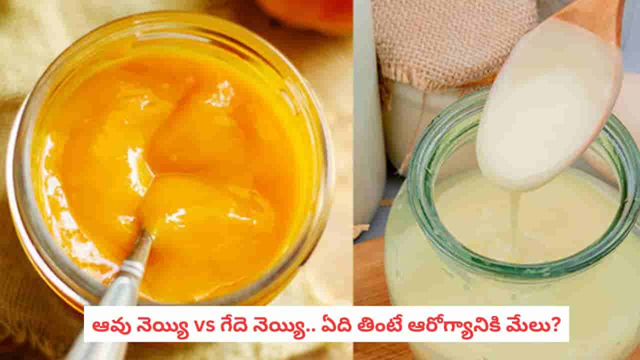 Cow Ghee vs Buffalo Ghee: ఆవు నెయ్యి మంచిదా? గేదె నెయ్యి మంచిదా? కొలెస్ట్రాల్ ఉన్నవారికి ఏది బెస్ట్?