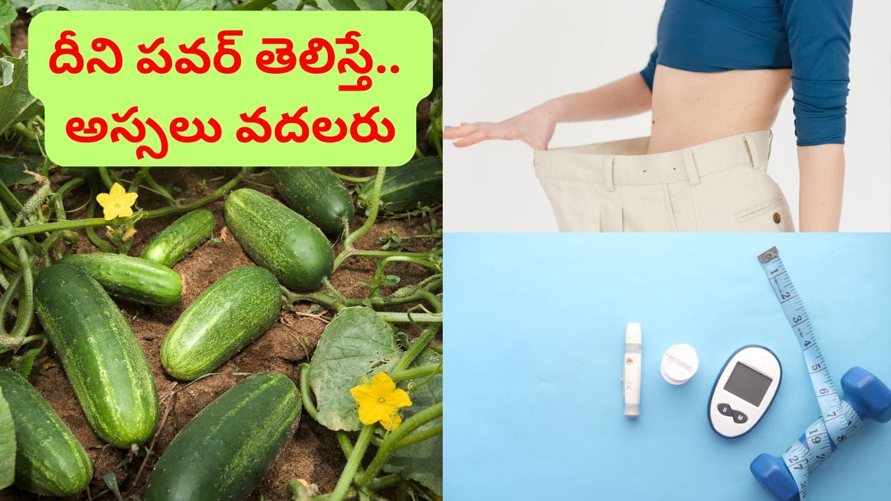షుగర్, అధిక బరువును తగ్గించే బ్రహ్మాస్త్రం.. ఇదొక్కటి ఆహారంలో చేర్చుకుంటే తిరుగుండదు..