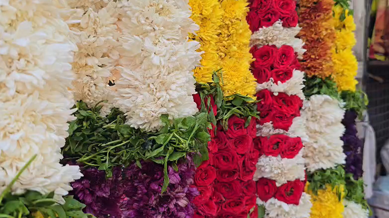 కరెన్సీ గజమాలలో 500 రూపాయల నోటు, 100 రూపాయల నోటు, 200 రూపాయల నోటు, 20 రూపాయల నోటు, 50 రూపాయల నోటు, 10 రూపాయల ఫేక్ నోటు కూడా ఉపయోగించి ఈ విధంగా భారీ గజమాలలు తయారు చేశారు.. ఈసారి గణపతి నవరాత్రి ఉత్సవాలకు ఈ ఫేక్ కరెన్సీ దండలు ఫుల్ ట్రెండ్ గా మారాయి