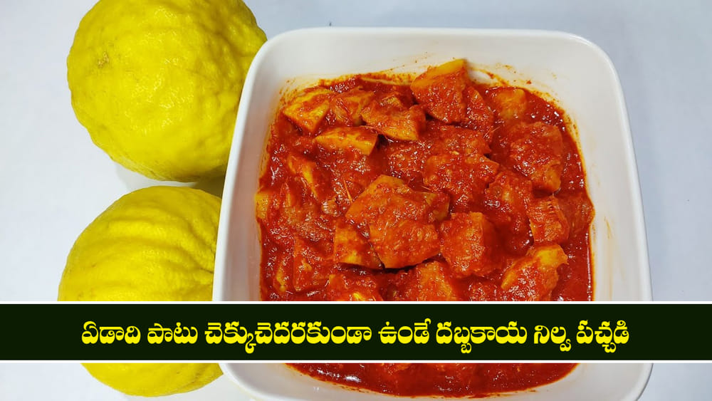 Dabbakaya Pachadi: ఏడాది పాటు చెక్కుచెదరకుండా ఉండే దబ్బకాయ నిల్వ పచ్చడి