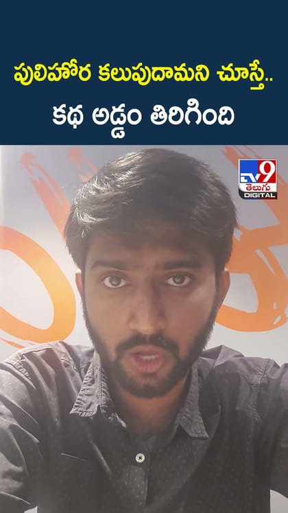 పులిహోర కలుపుదామని చూస్తే.. కథ అడ్డం తిరిగింది