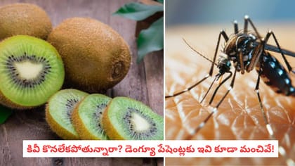 కివీ కొనలేకపోతున్నారా? డెంగ్యూ పేషెంట్లకు ఇవి కూడా మంచివే!