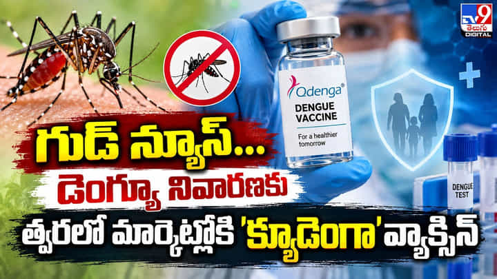 Dengue Vaccine: త్వరలో మార్కెట్ లోకి డెంగ్యూ నివారణకు వ్యాక్సిన్! Dengue Vaccine: త్వరలో మార్కెట్ లోకి డెంగ్యూ నివారణకు వ్యాక్సిన్!