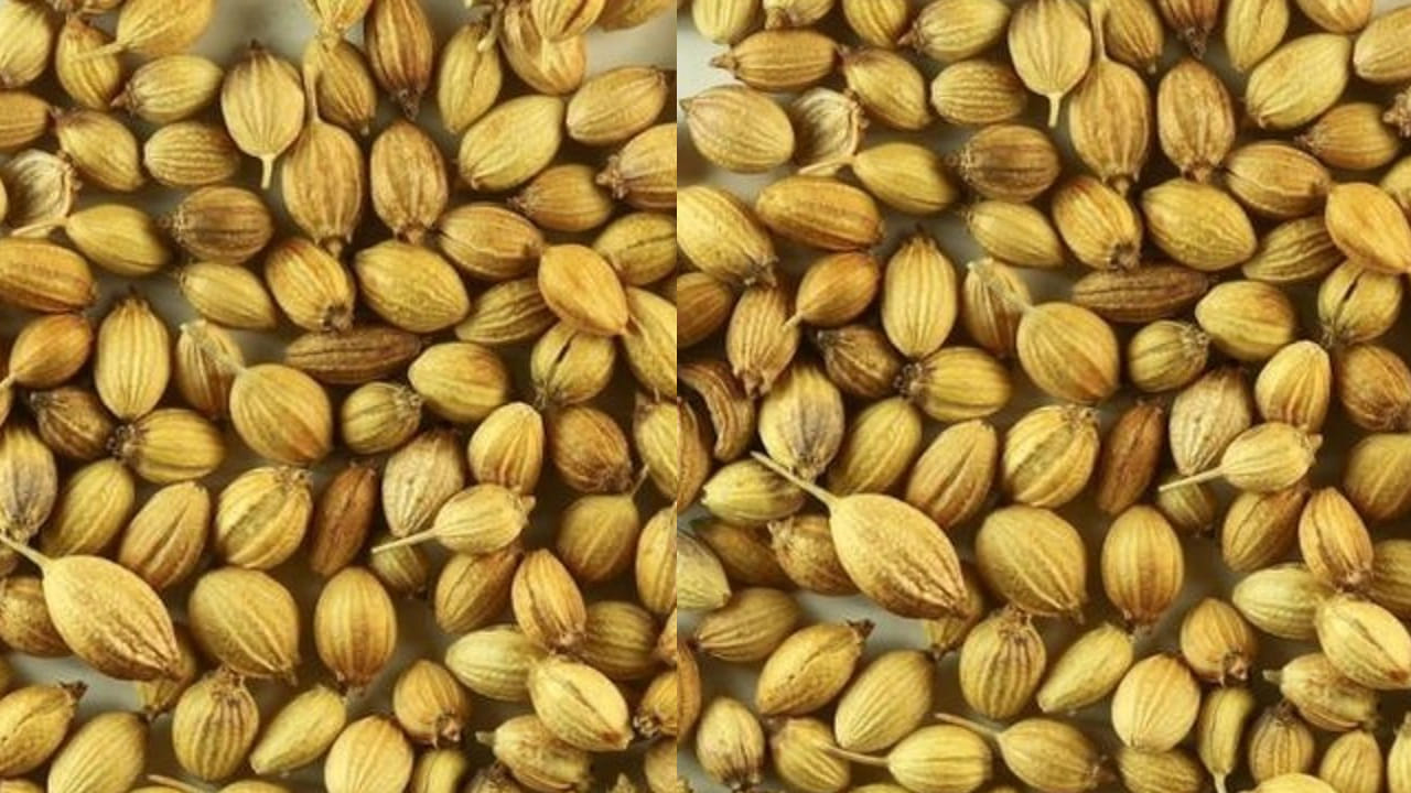 Dhaniyallu