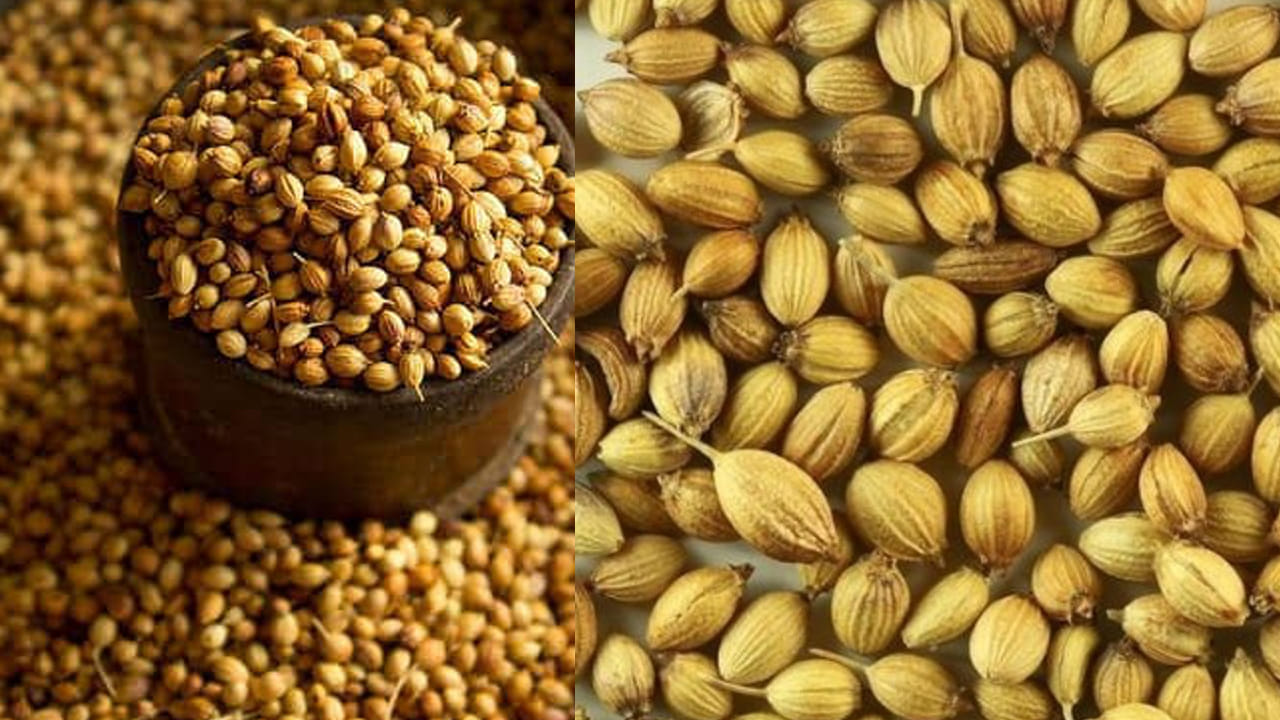 Dhaniyallu 5