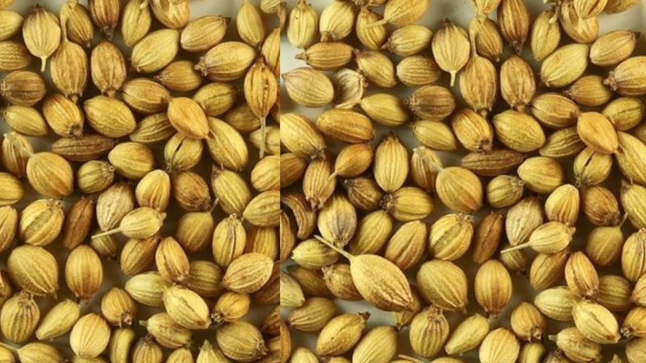 Dhaniyalu