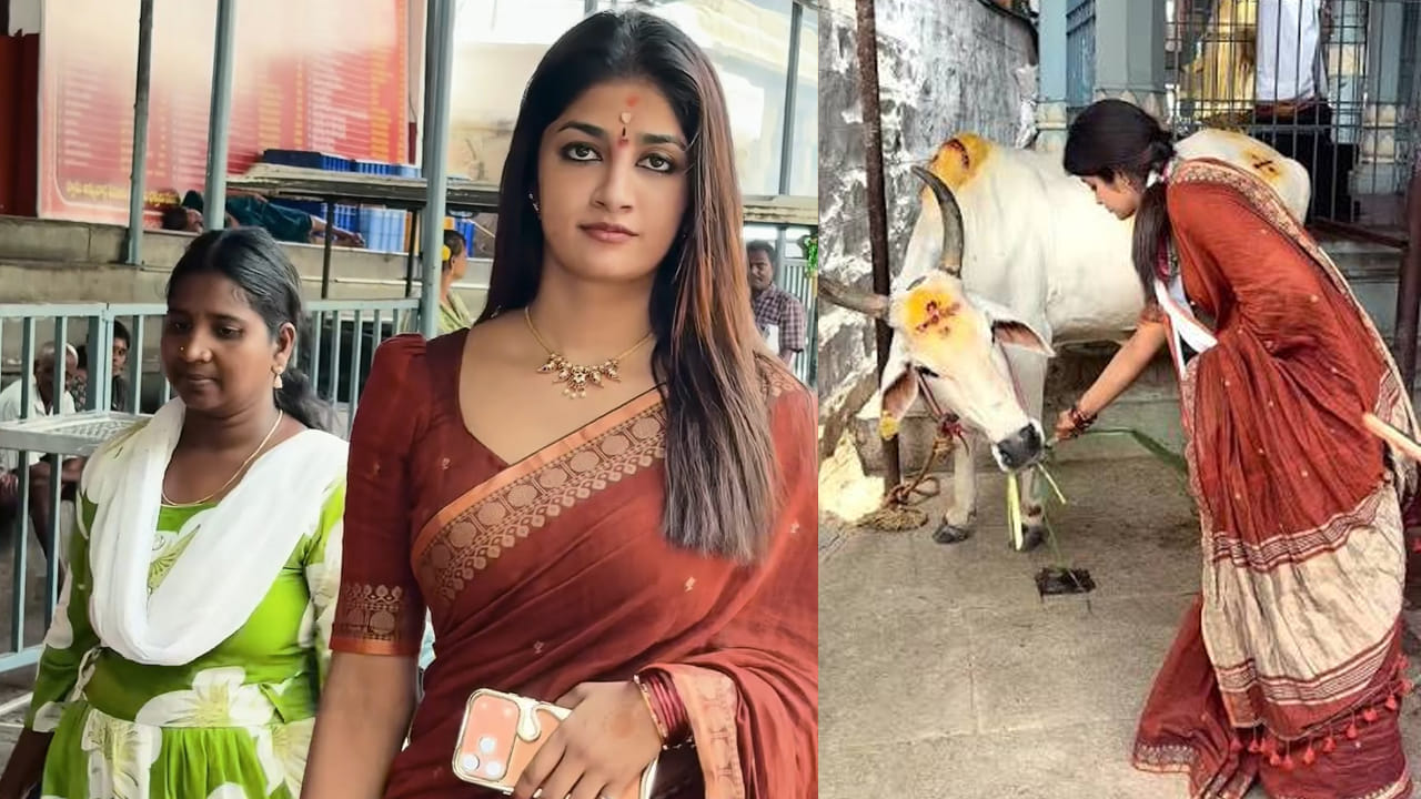 Dimple Hayathi: శ్రీకాళహస్తీశ్వరాలయంలో హీరోయిన్ డింపుల్ హయాతి.. స్వామి, అమ్మవార్లకు ప్రత్యేక పూజలు.. వీడియో