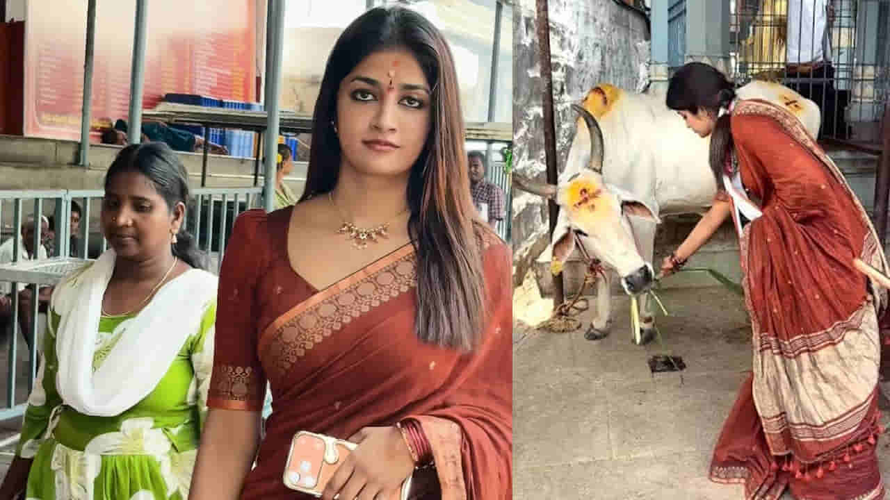 Dimple Hayathi: శ్రీకాళహస్తీశ్వరాలయంలో హీరోయిన్ డింపుల్ హయాతి.. స్వామి, అమ్మవార్లకు ప్రత్యేక పూజలు.. వీడియో