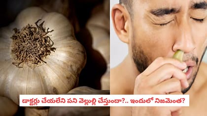 డాక్టర్లు చేయలేని పని వెల్లుల్లి చేస్తుందా?.. ఇందులో నిజమెంత?