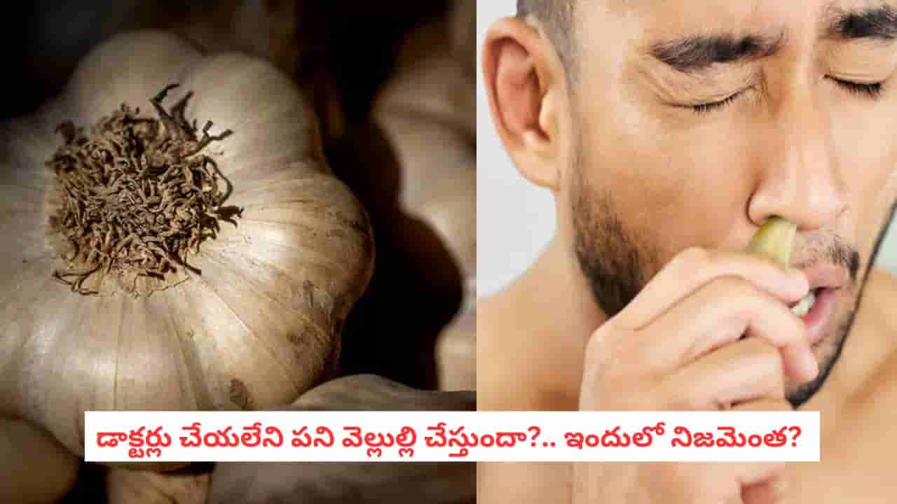 Garlic Benefits: వెల్లుల్లిని ఆ ప్రయోజనం కోసం రాత్రిపూట తింటున్నారా?.. ఇది తెలుసుకోండి