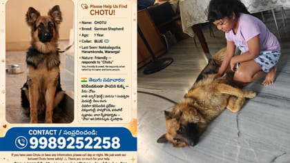 కుక్క మిస్సింగ్.. ఆచూకీ చెబితే రూ.5 వేల నజరానా!