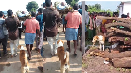 యజమాని అంతిమ యాత్రలో శునకం..