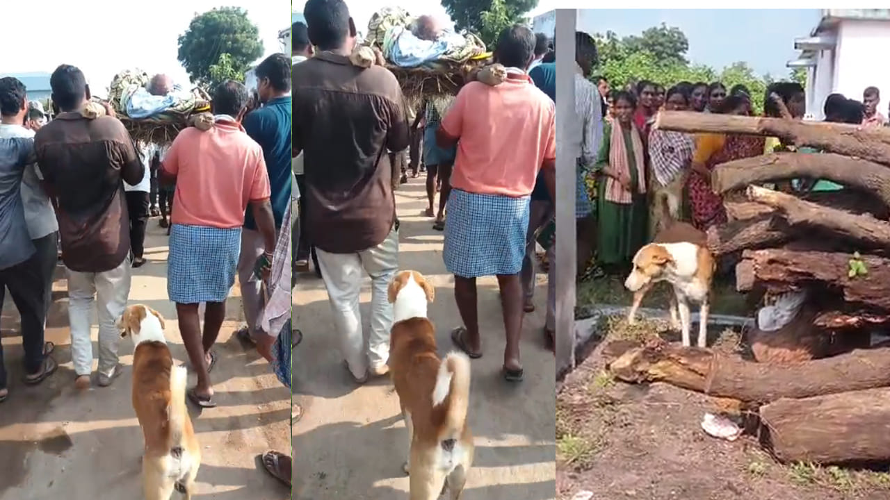 Mancherial: యజమాని మృతి.. చితి వరకు వెంట నడిచిన శునకం
