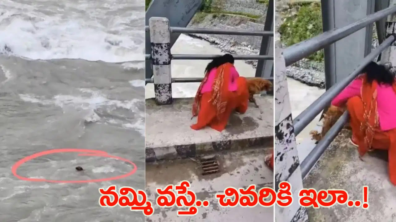 Watch: ఆ మూగజీవికి ఏం తెలుసు..? మనుషులు ఇంత కఠినాత్ములని.. కంటతడి పెట్టిస్తున్న వీడియో!
